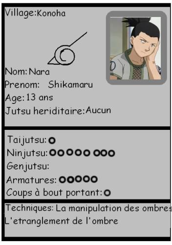 Fiche Shikamaru