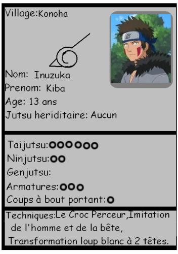 Fiche Kiba